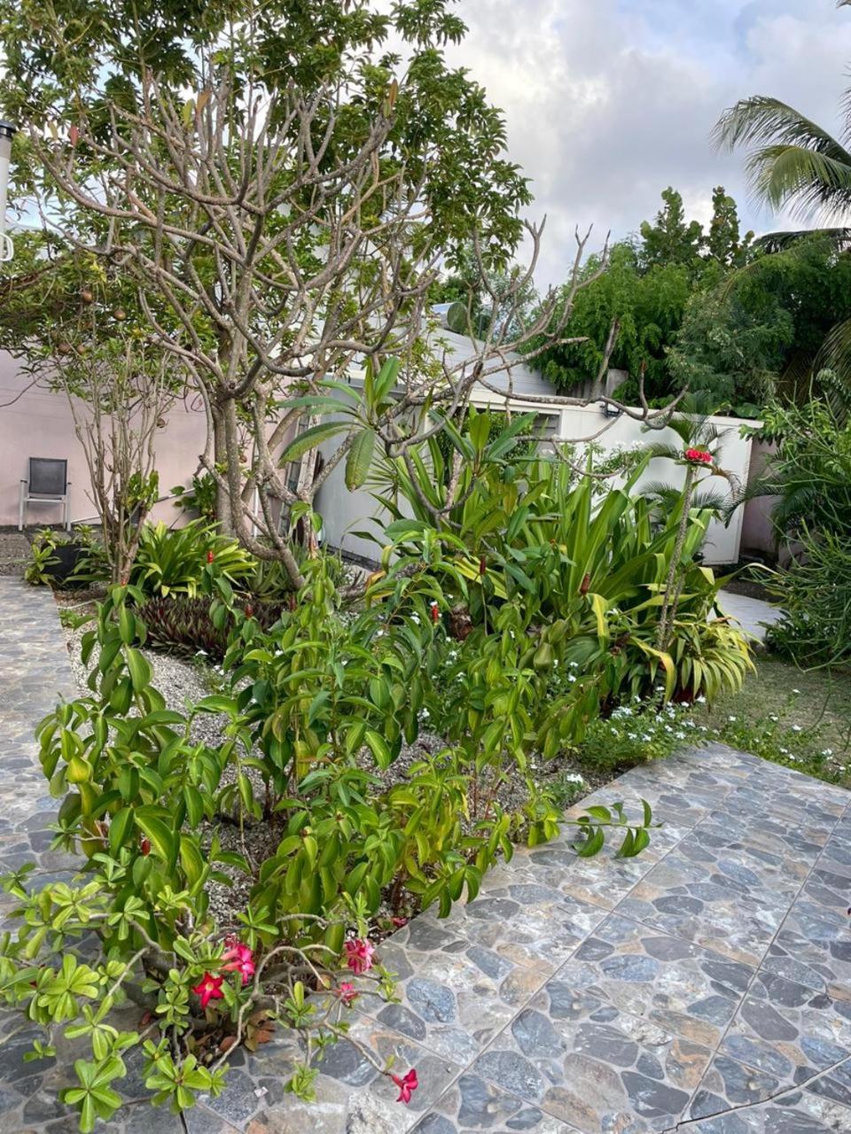 Villa Almeida A 500M De La Plage Courcelles Bagian luar foto
